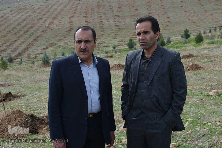 گزارش تصویری غرس درخت در بام لرستان