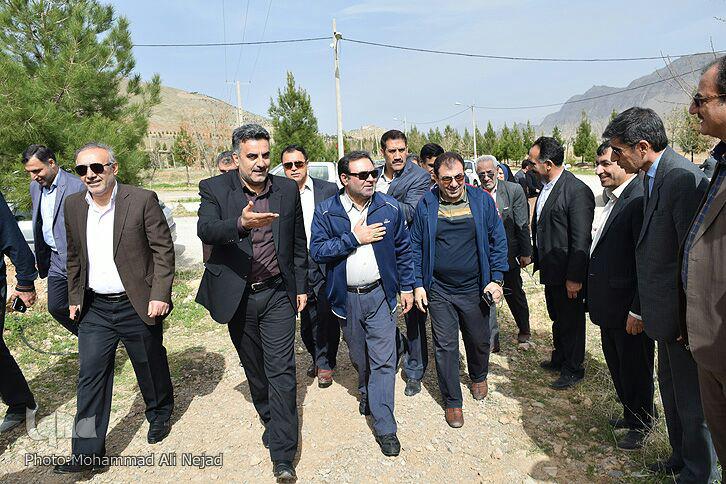 گزارش تصویری غرس درخت در بام لرستان