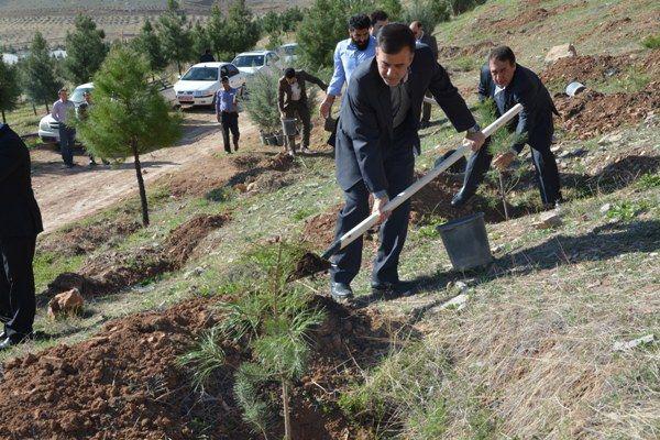 غرس نهال به یاد شهدای کارگری لرستان غرس نهال به یاد شهدای کارگری لرستان
