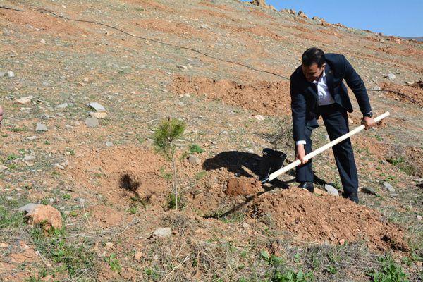 غرس نهال به یاد شهدای کارگری لرستان غرس نهال به یاد شهدای کارگری لرستان