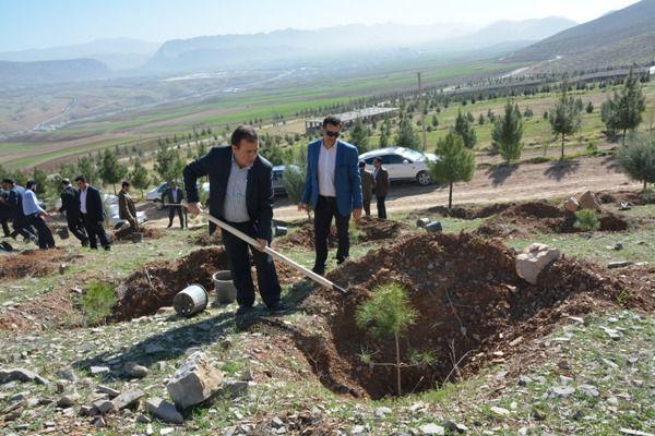 غرس نهال به یاد شهدای کارگری لرستان غرس نهال به یاد شهدای کارگری لرستان