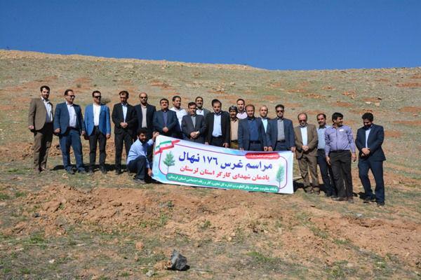 غرس نهال به یاد شهدای کارگری لرستان غرس نهال به یاد شهدای کارگری لرستان