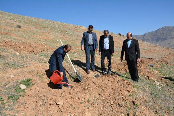 غرس نهال به یاد شهدای کارگری لرستان غرس نهال به یاد شهدای کارگری لرستان