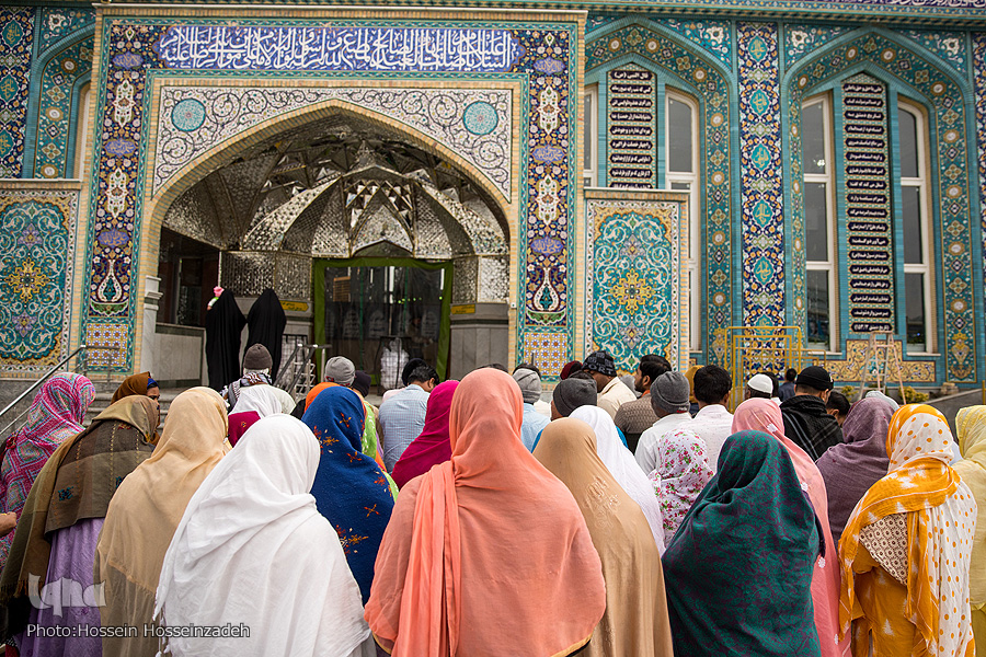 به زیارت راوی حدیث سلسلةالذهب برویم//اماده ارسال