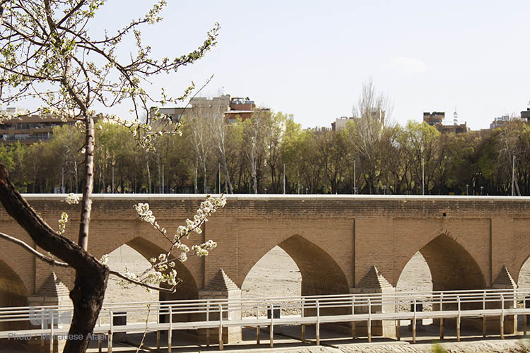 نرم نرمک میرسد اینک بهار