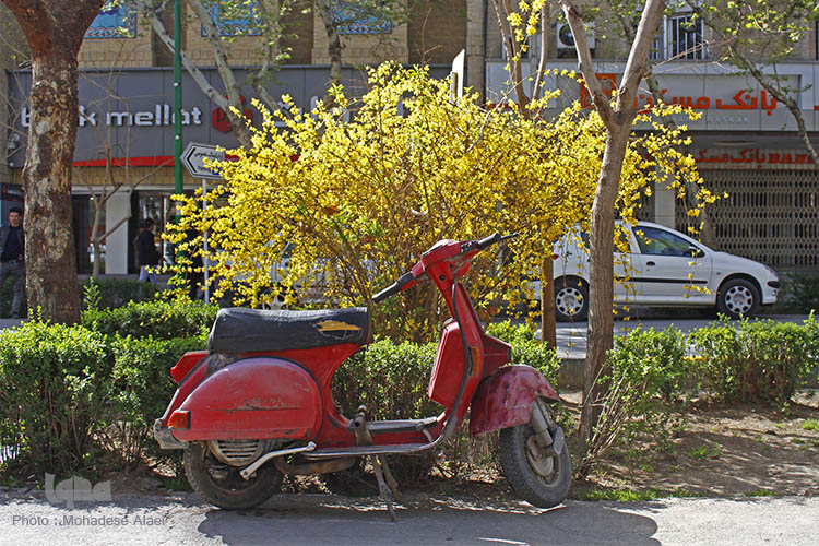 نرم نرمک میرسد اینک بهار