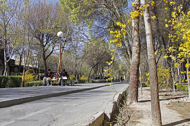 نرم نرمک میرسد اینک بهار