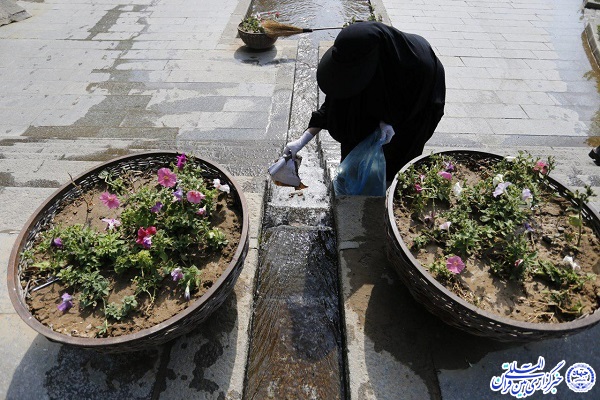پاکسازی محیط گنجنامه از زباله های پلاستیکی
