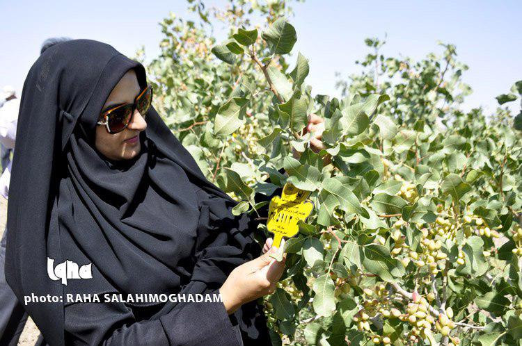 بازدید از طرح‌های اشتغال‌زایی کمیته امداد امام(ره) خراسان‌جنوبی