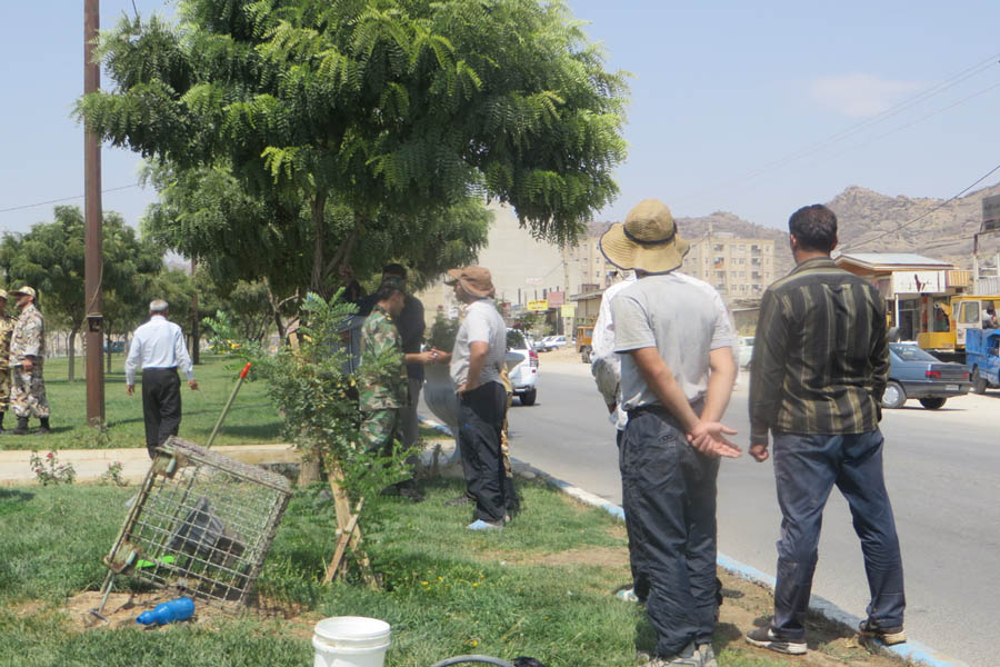گزارش تصویری تجلیل از دست‌اندرکاران مرمت‌ سردیس شهید غلامرضا چاغروند