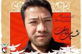 مدافع حرم البرزی آسمانی شد