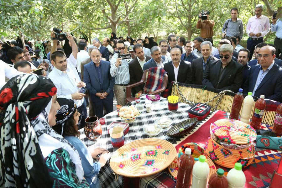 برگزاری جشنواره گردو به میزبانی سلسله