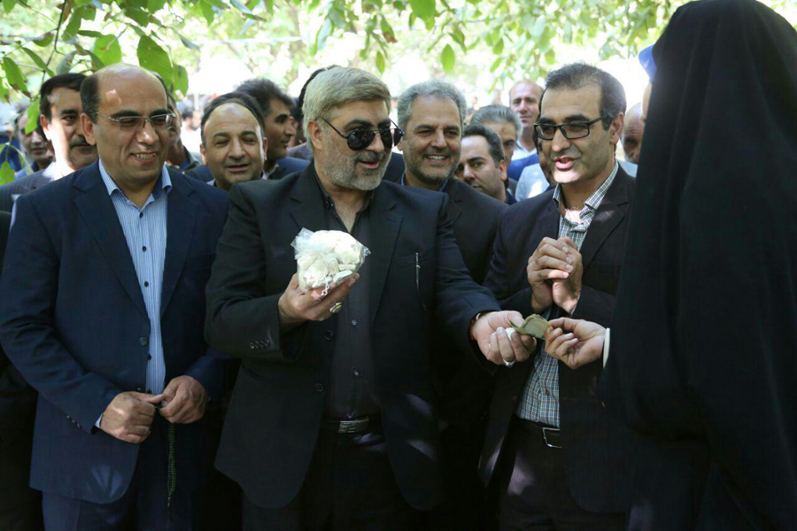 برگزاری جشنواره گردو به میزبانی سلسله