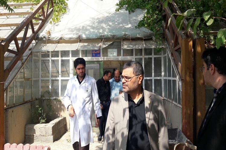 بازدید مدیران جهاددانشگاهی و مدیران دانشگاه حضرت معصومه(س) از مرکز تحقیقات گیاهان دارویی جهاددانشگاهی