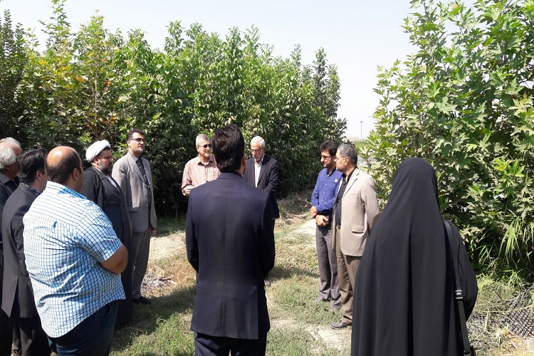 بازدید مدیران جهاددانشگاهی و مدیران دانشگاه حضرت معصومه(س) از مرکز تحقیقات گیاهان دارویی جهاددانشگاهی