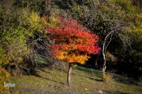 طبیعت پاییزی روستای خشه حیران نمین ـ اردبیل