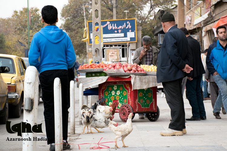 گزارش تصویری از عزاداری اربعین حسینی در همدان