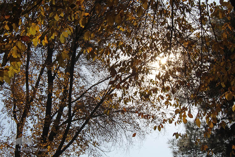 پاییز