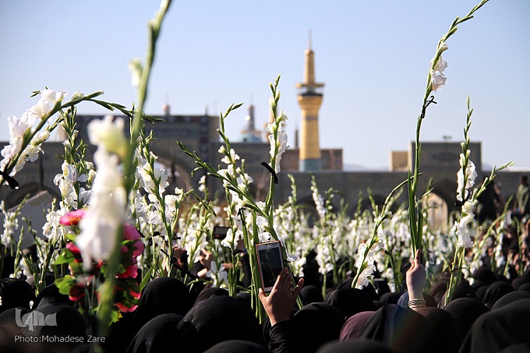 آیین زنان نوغان، عرض ارادتی در همسایگی با امام مهربانی‌ها