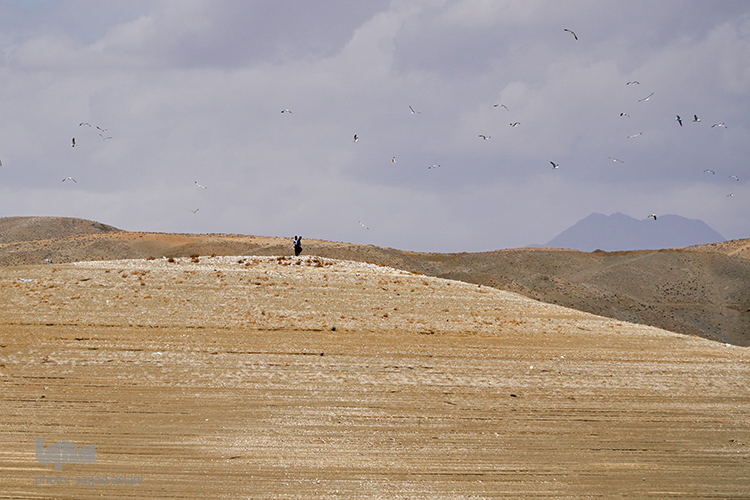 بحران کم آبی