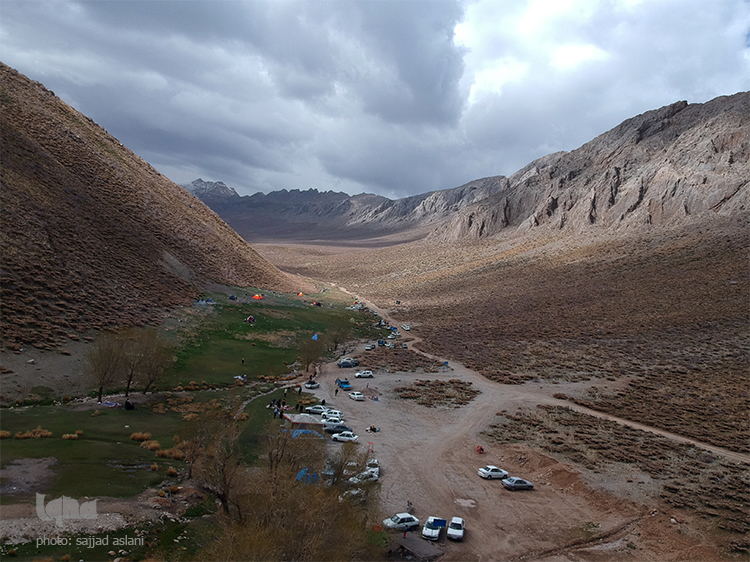 لاله های واژگون در روستای دره بید لاله های واژگون در روستای دره بید