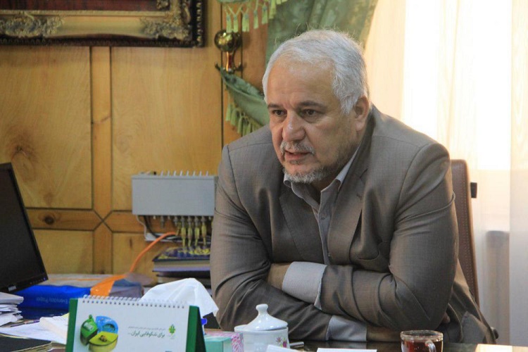 خدمات چهل ساله انقلاب بیشتر گفته شود