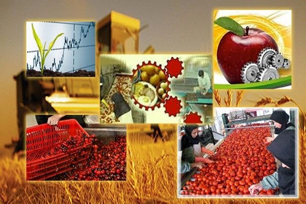 بهره&zwnj;مندی ۱۳۲۵ مددجوی اردبیلی از تسهیلات اشتغال پایدار روستایی