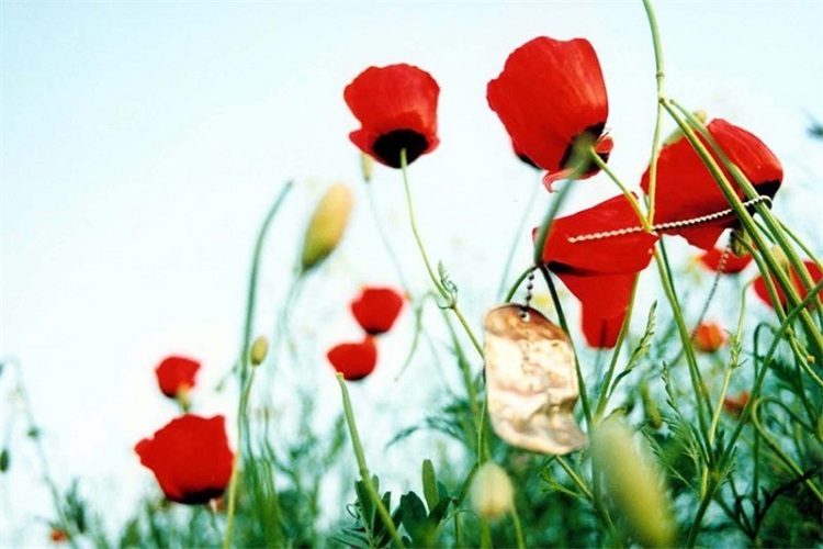 برگزاری یادواره استانی &laquo;شهدای حوزه وزارت کشور&raquo; در یاسوج