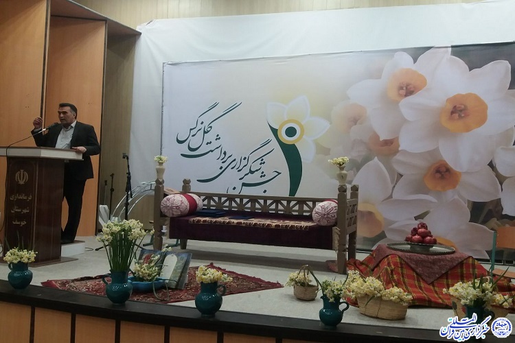توسعه کشت گل نرگس در گرو توجه به بازاریابی