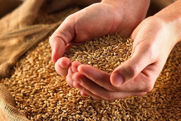 ملایر؛ بیشترین سهم در پرداخت زکات