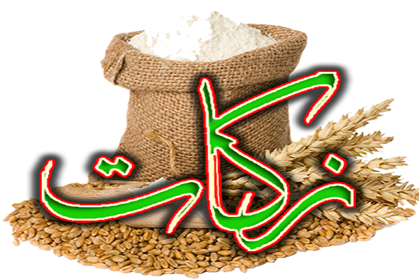رسیدگی به مشکلات ۵۰۰۰ خانوار نیازمند اردبیلی، از محل منابع زکات