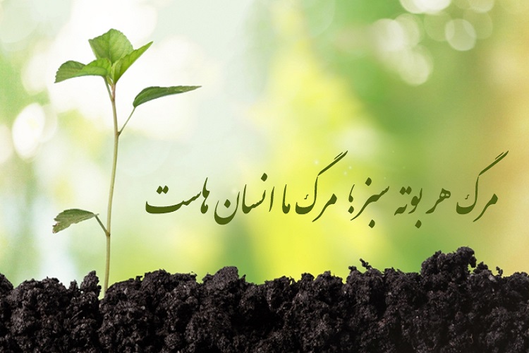 اهمیت منابع طبیعی در آیات وحی/ مسئولیت مشترک انسان&zwnj;ها در حفاظت از مواهب الهی