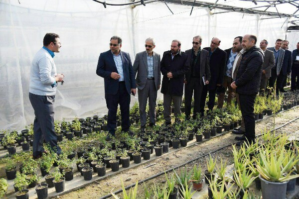 6 دستاورد پژوهشی جهاد دانشگاهی آذربایجان غربی رونمایی شد 6 دستاورد پژوهشی جهاد دانشگاهی آذربایجان غربی رونمایی شد