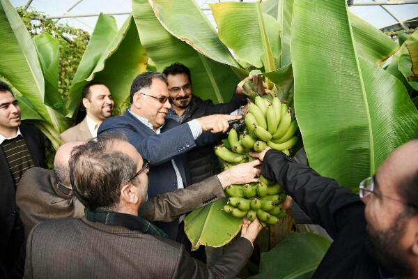 6 دستاورد پژوهشی جهاد دانشگاهی آذربایجان غربی رونمایی شد 6 دستاورد پژوهشی جهاد دانشگاهی آذربایجان غربی رونمایی شد