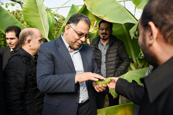 6 دستاورد پژوهشی جهاد دانشگاهی آذربایجان غربی رونمایی شد 6 دستاورد پژوهشی جهاد دانشگاهی آذربایجان غربی رونمایی شد