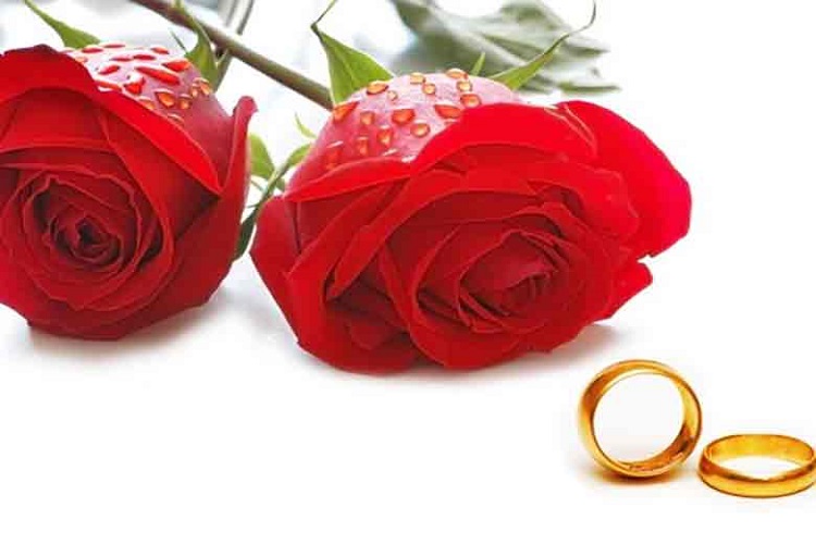 ۲۸۲۲ نیازمند کهگیلویه و بویراحمدی به خانه بخت رفتند
