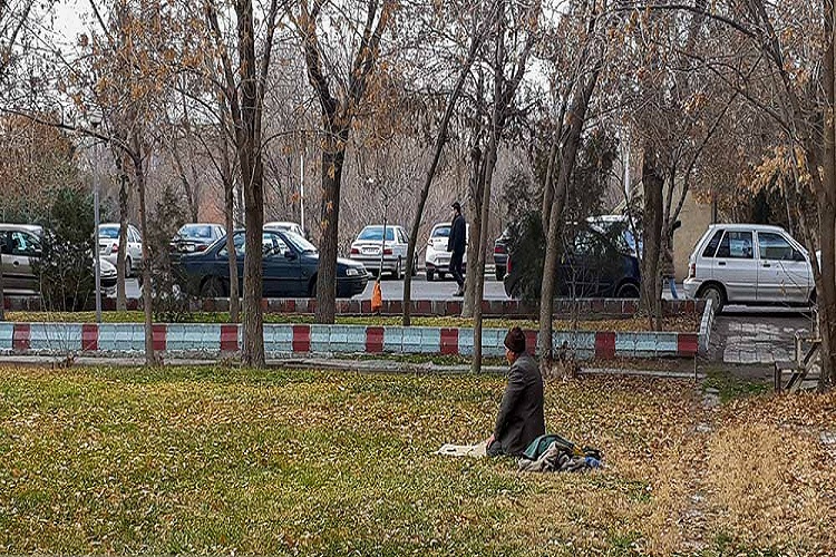 باغبانی که بهتر از اساتید به دانشجویان درس می&zwnj;دهد