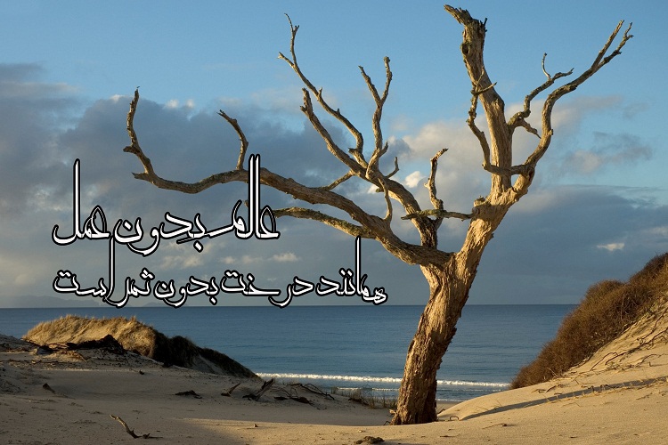 سخن&zwnj;نگاشت/تشبیه عالم بی&zwnj;عمل به درخت بدون فایده