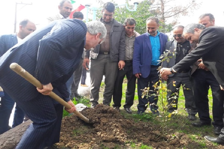 کاشت ۴۰ نهال توسط اداره مخابرات کهگیلویه
