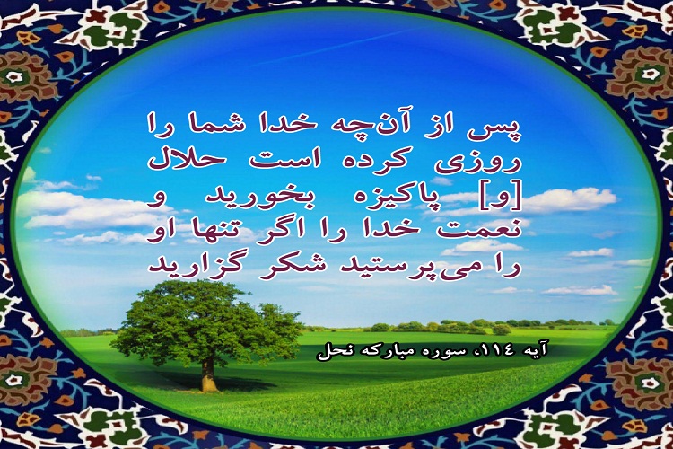 آیه&zwnj;نگاشت/شکرگزاری در برابر نعمت&zwnj;ها