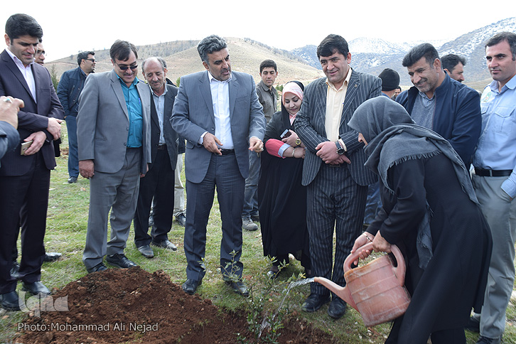 غرس نهال توسط اصحاب رسانه لرستان غرس نهال توسط اصحاب رسانه لرستان