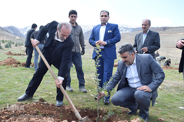 غرس نهال توسط اصحاب رسانه لرستان غرس نهال توسط اصحاب رسانه لرستان