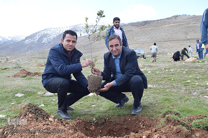 غرس نهال توسط اصحاب رسانه لرستان غرس نهال توسط اصحاب رسانه لرستان