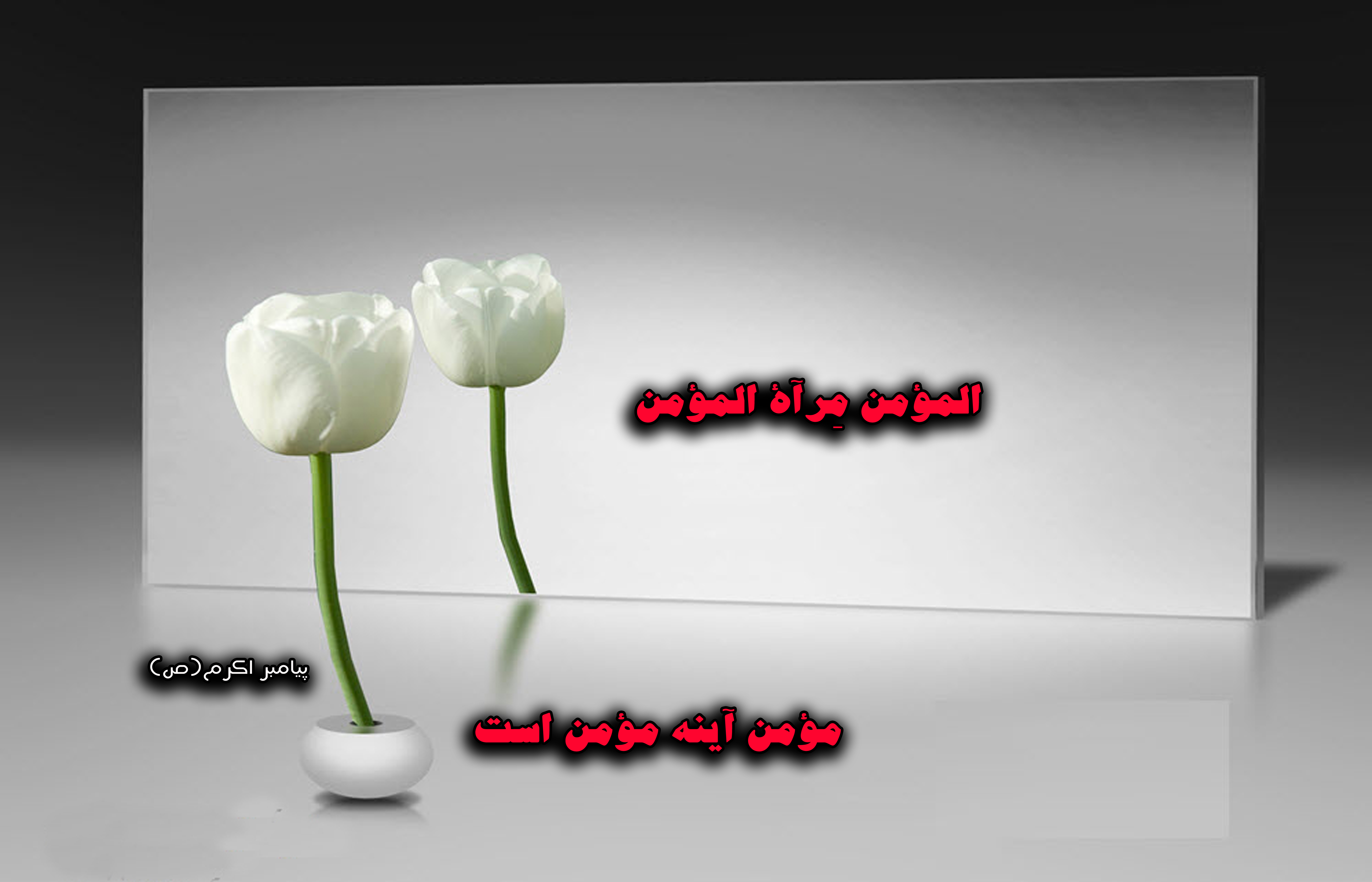 عکس اصلاح شود/////حدیث&zwnj;نگاشت/مؤمن آینه مؤمن است