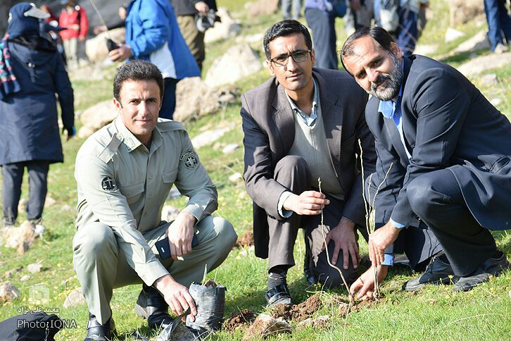 جشن درخت&zwnj;کاری با حضور هیئت کوهنوردی لرستان