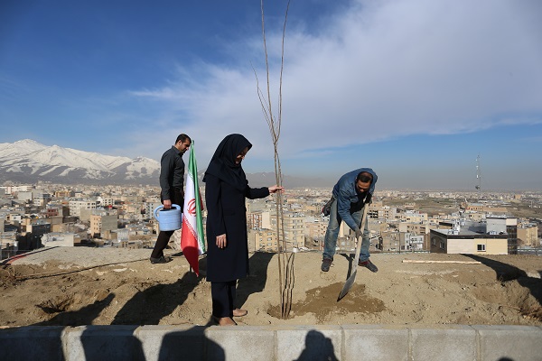 درختکاری در تپه مصلی همدان
