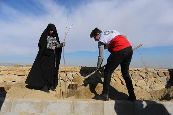 درختکاری در تپه مصلی همدان