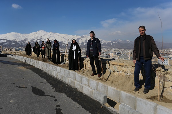 درختکاری در تپه مصلی همدان