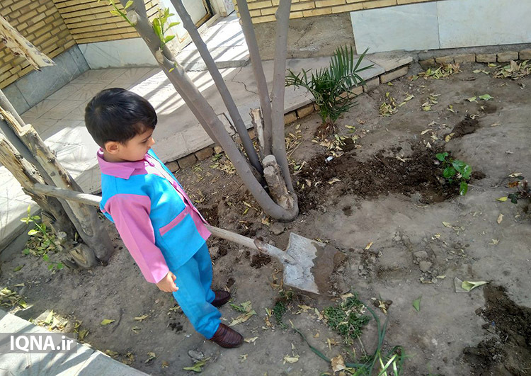 غرس نهال توسط قرآن&zwnj;آموزان مؤسسه معراج النبی یزد