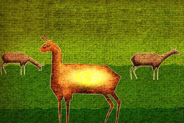 &laquo;محراب آرامش&raquo; به جشنواره هندوستان راه یافت